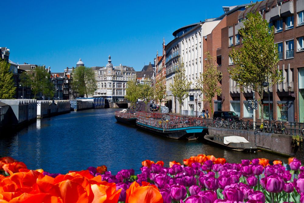 Amsterdam Hakkında