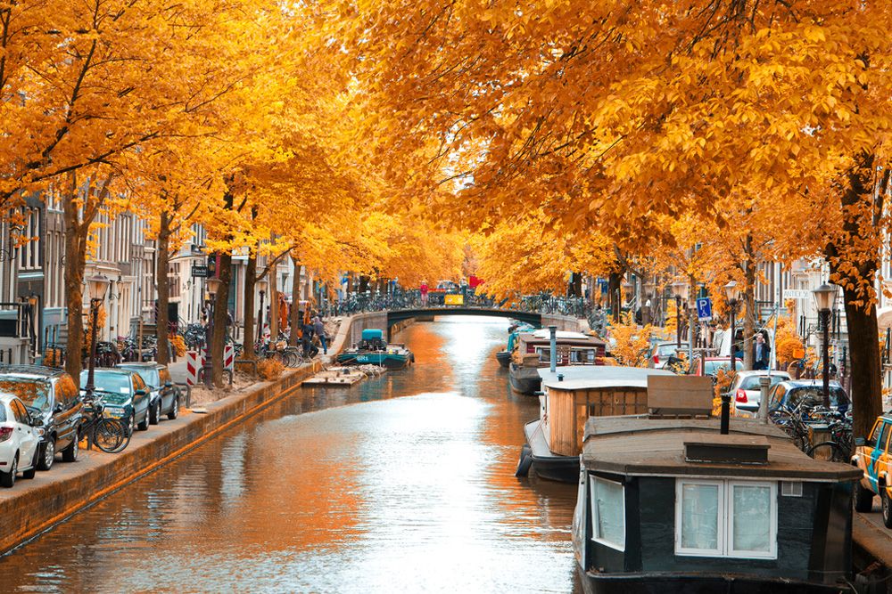 Amsterdam Hakkında