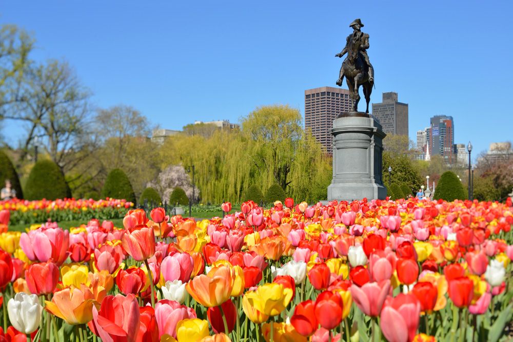 Boston Hakkında