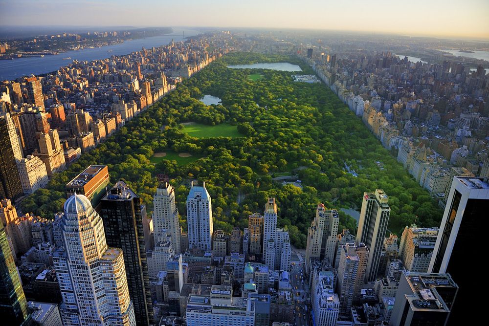 New York Hakkında