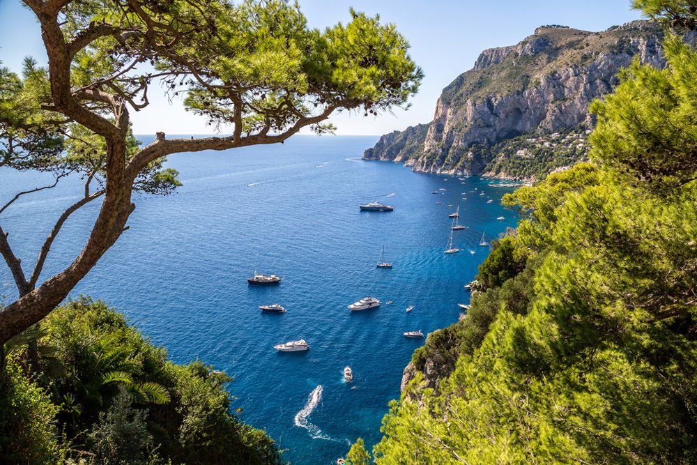 Capri Hakkında