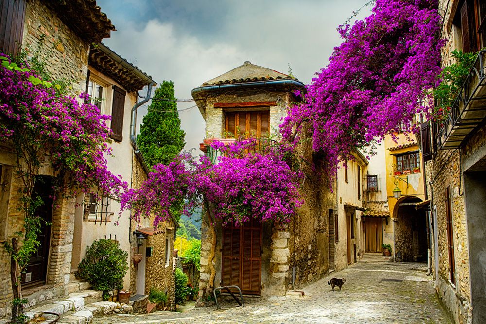 Provence Hakkında