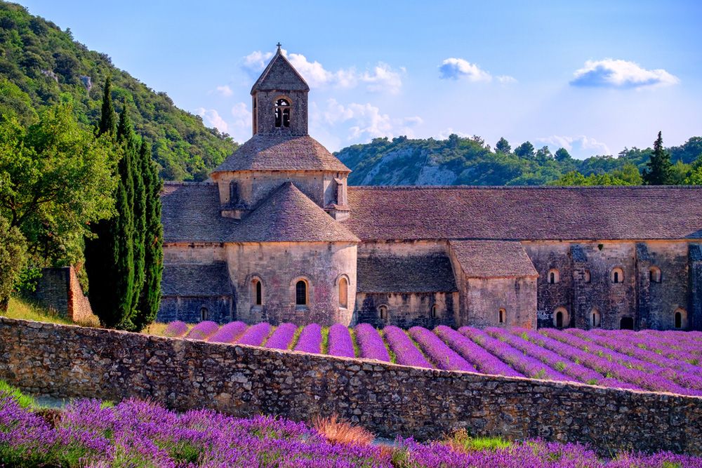 Provence Hakkında