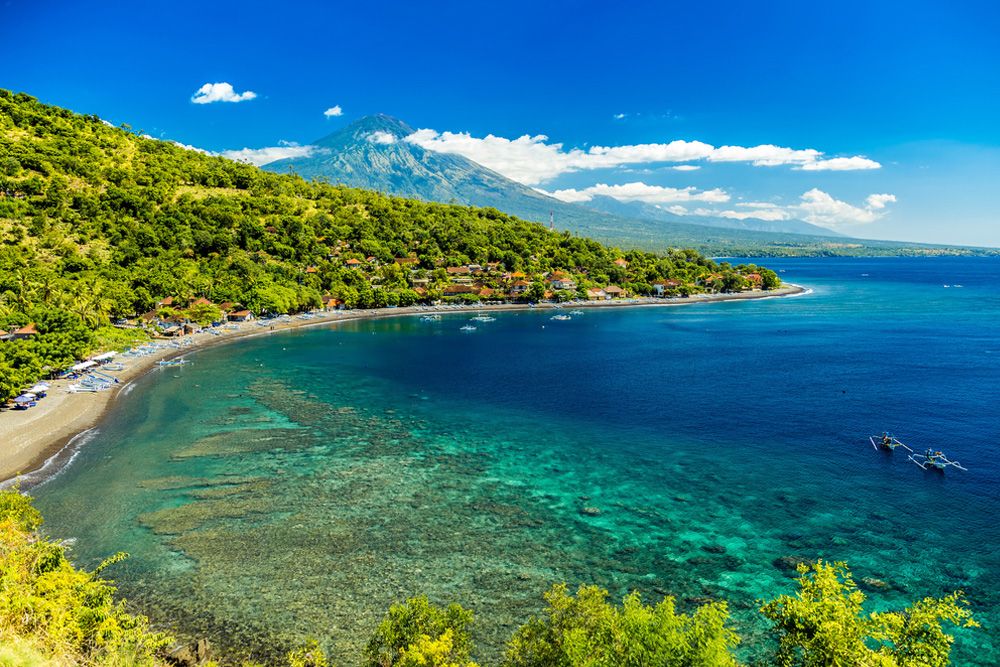 Bali Hakkında