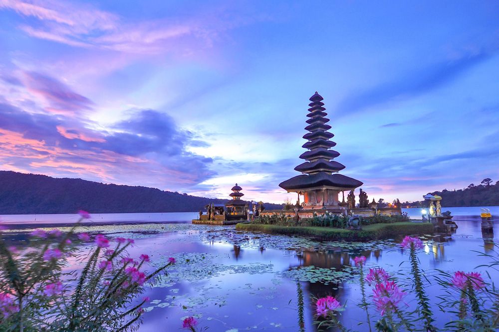 Bali Hakkında