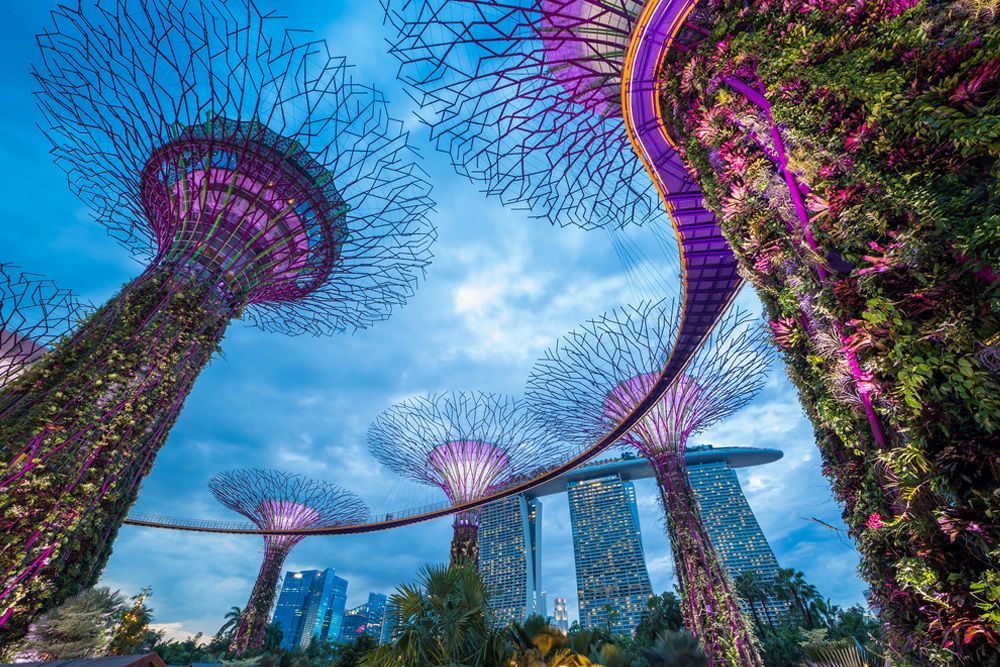 Singapur Hakkında