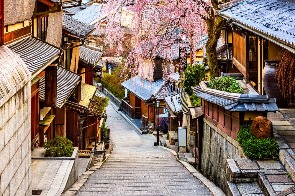 Kyoto Hakkında